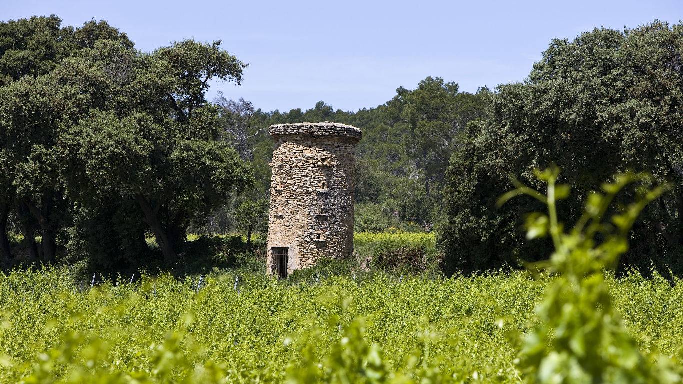 Old stone tower on the edge of a rhone valley vineyard