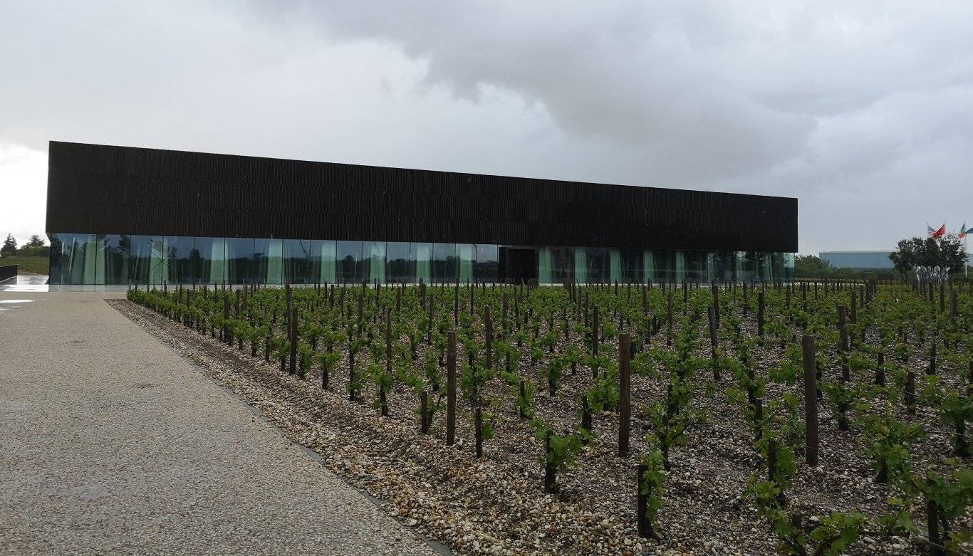 Château Pedesclaux, a modern looking winery