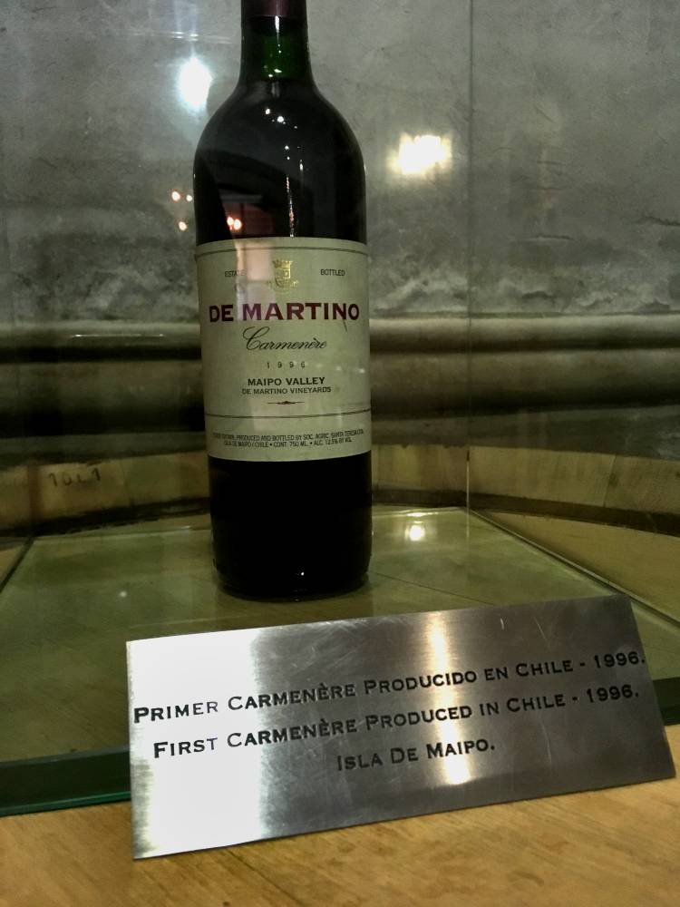 One of the last two surviving bottles of the Carménère 1996 vintage