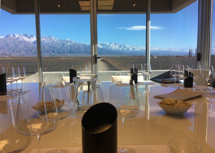 Tasting room at Zuccardi winery in Argentina