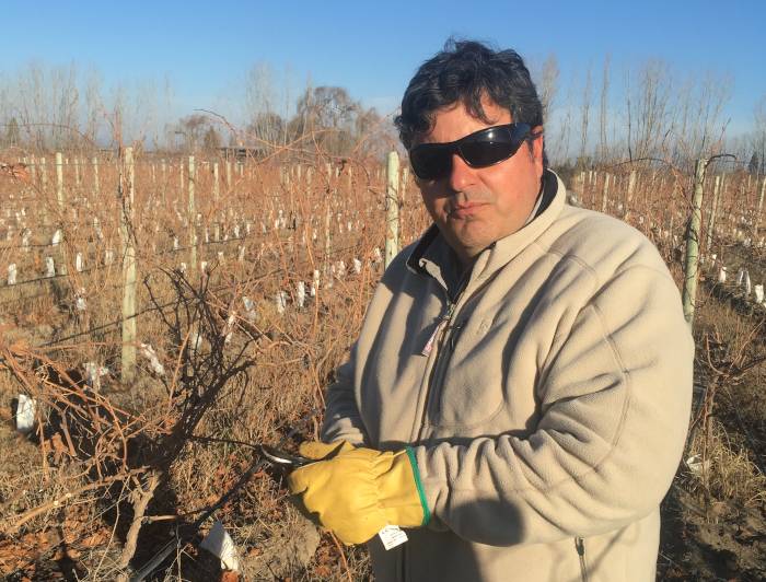 Enzo, the vineyard manager atBelhara Estate