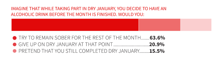Dry January Survey 2019