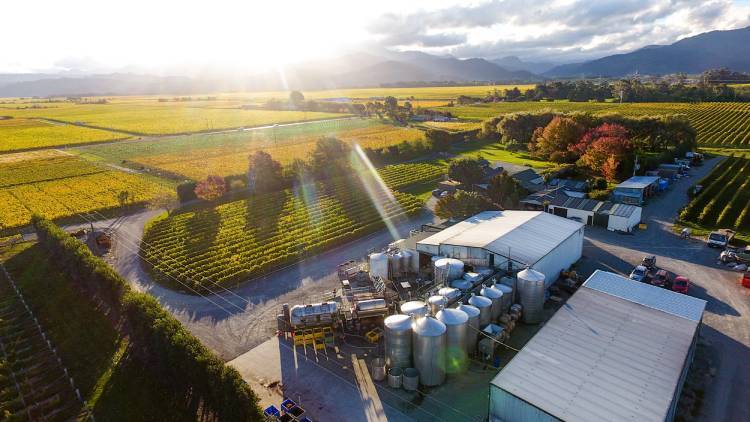 Aerial view of the Forrest winery