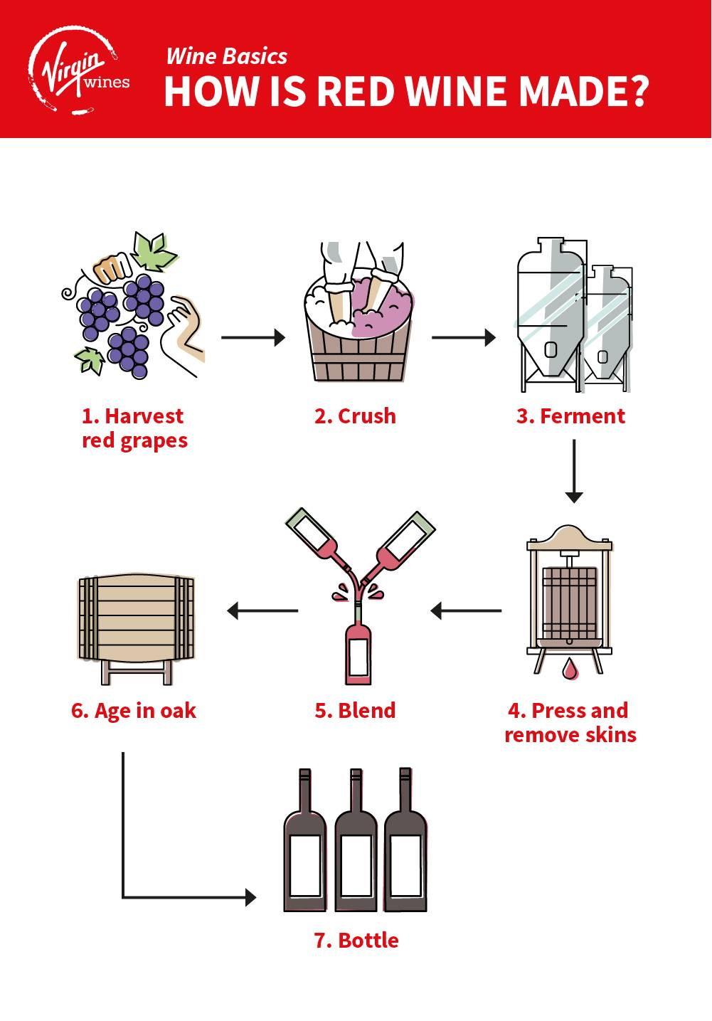 Red Wine Information & Basics