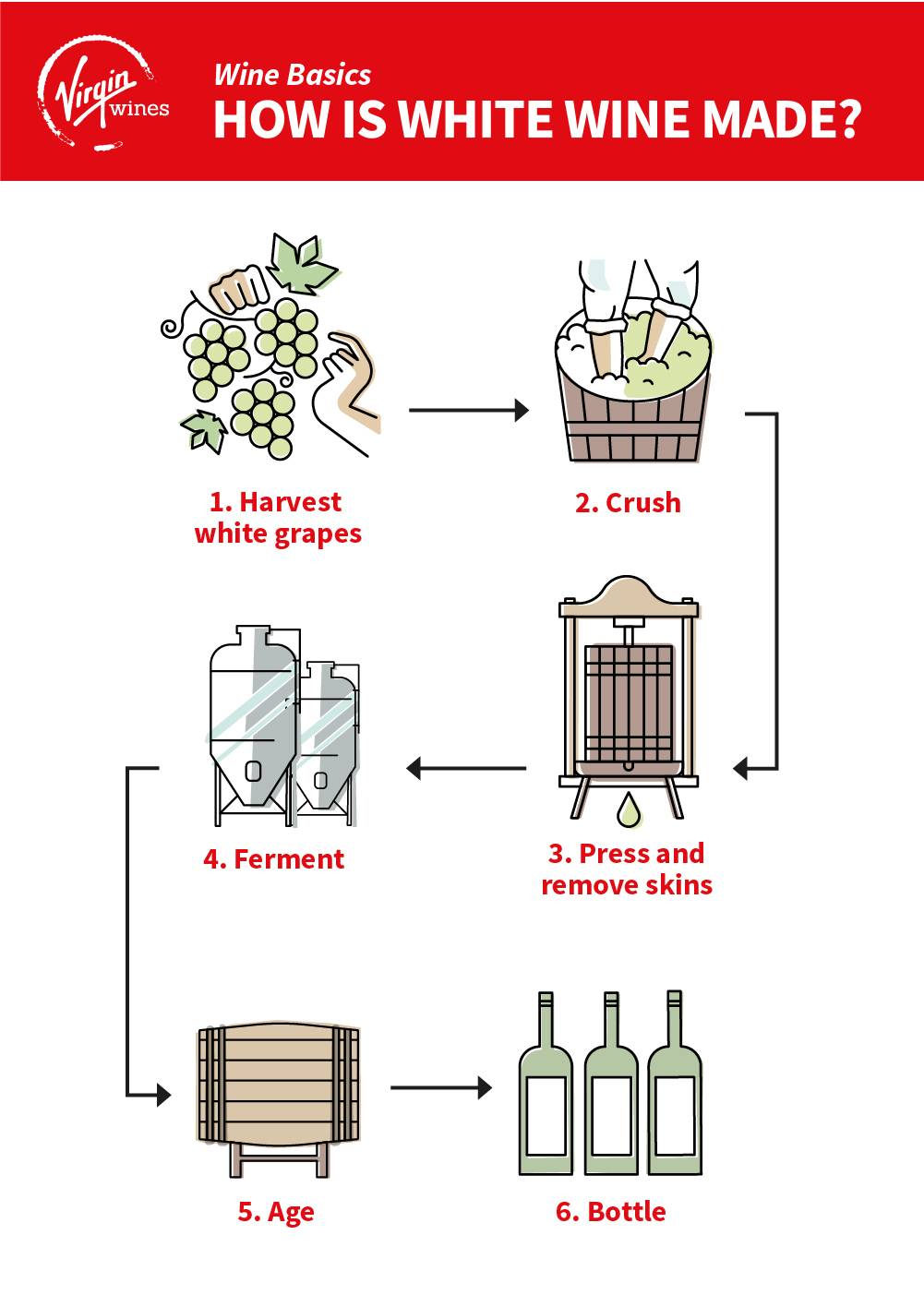 Infographic by Virgin Wines showing how white wine is made