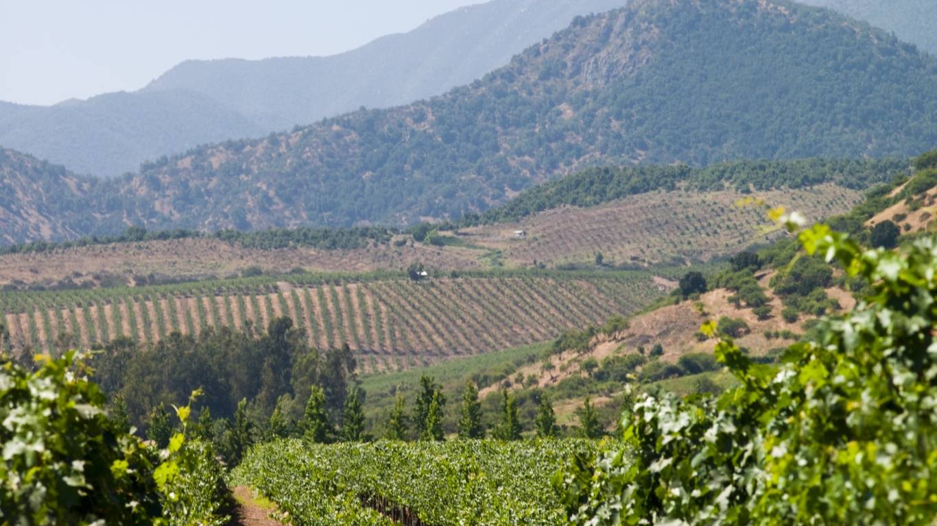 Perez Cruz Vineyards & Mountains