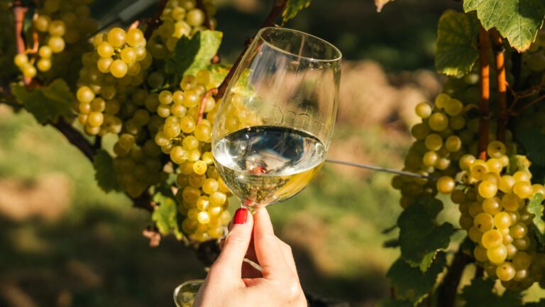 Guide to clean and crisp white wines