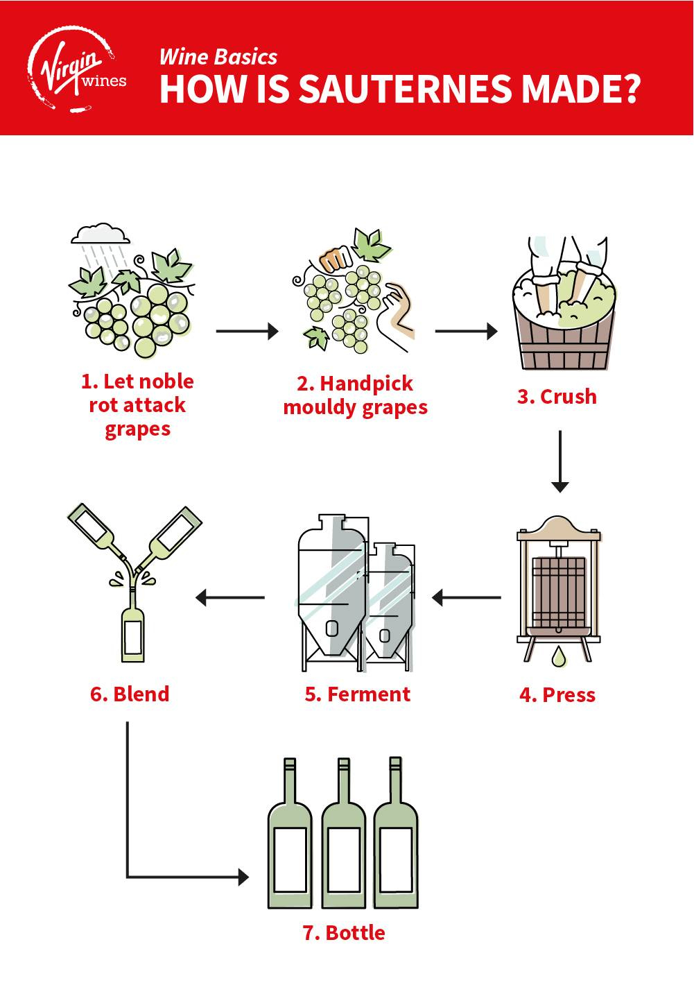 Infographic by Virgin Wines showing how Sauternes is made