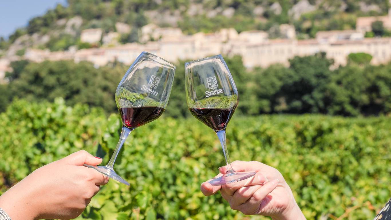 Hands making a toast with red wine glasses in a vineyard