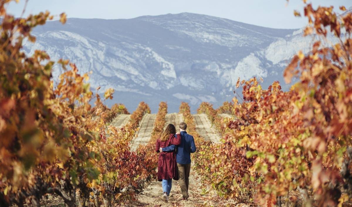 Couple walking through Rioja vineyard