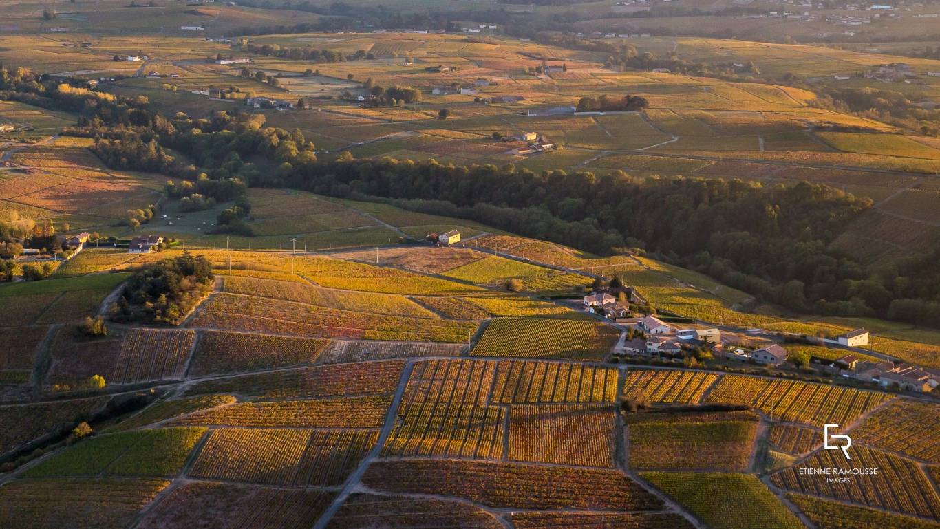 Beaujolais wine region