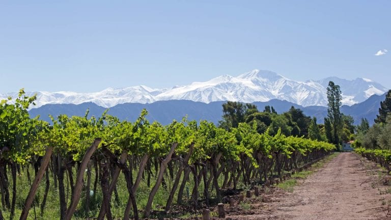 Argentinean Wine Regions