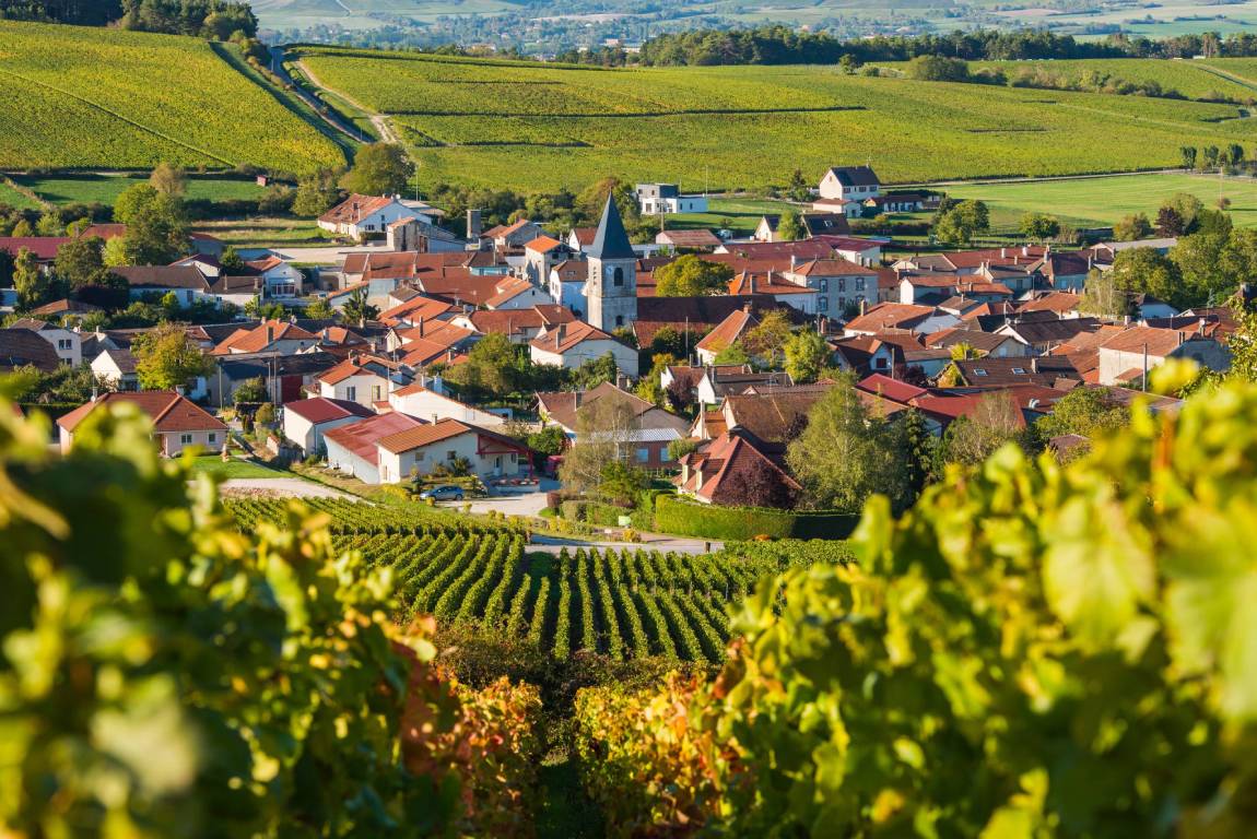 Champagne Wine Region, France