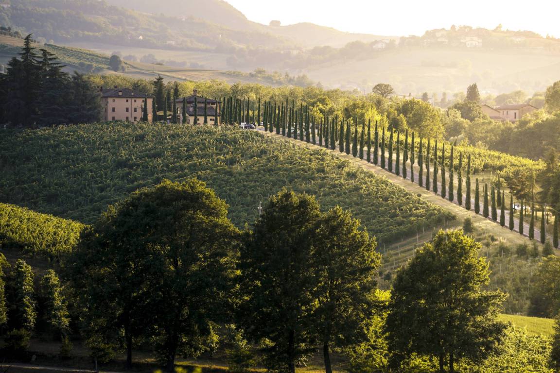 Emilia Romagna Wine Region, Italy