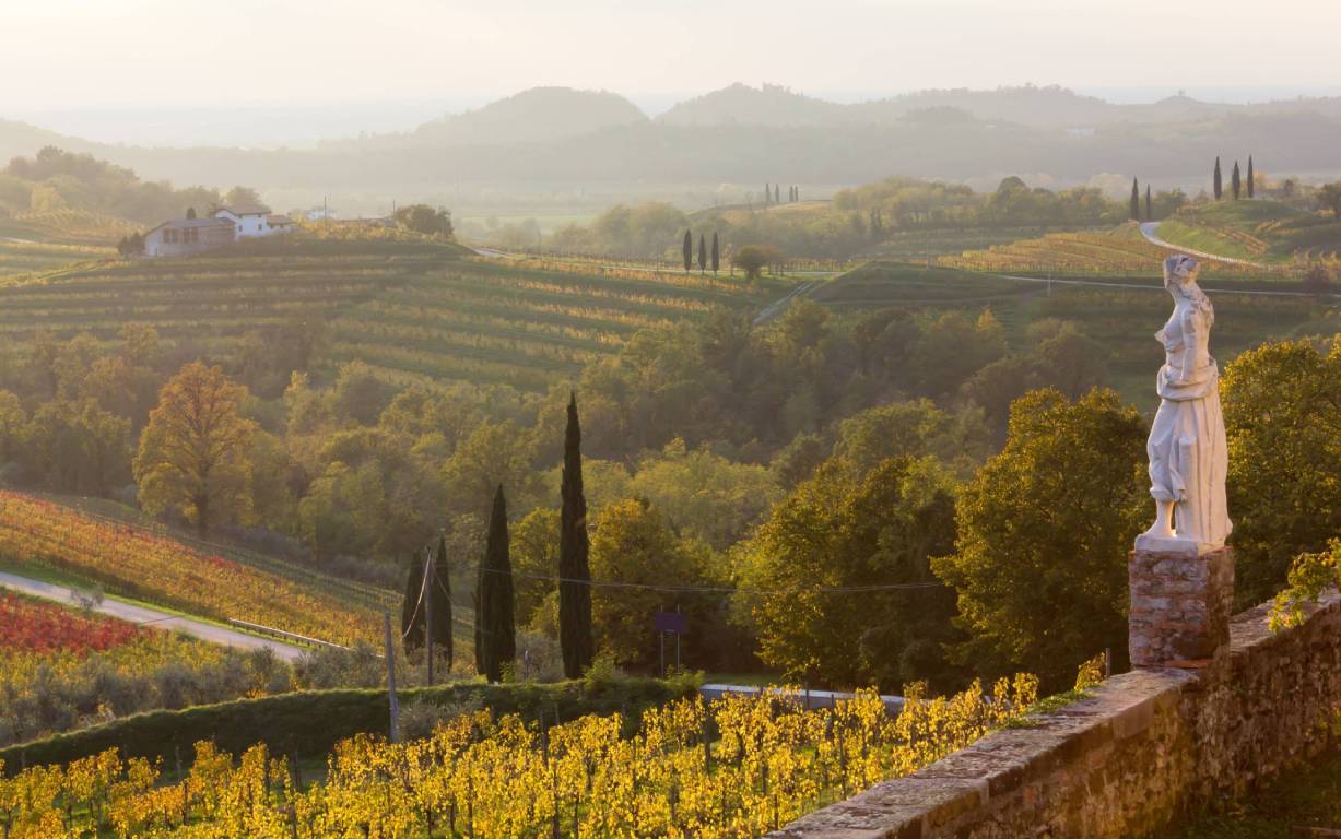 Friuli-Venezia-Giulia vineyards