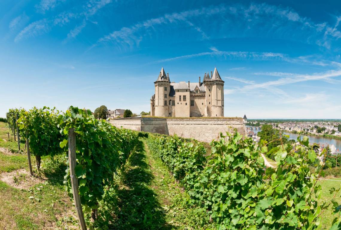 Loire Valley Wine Region, France