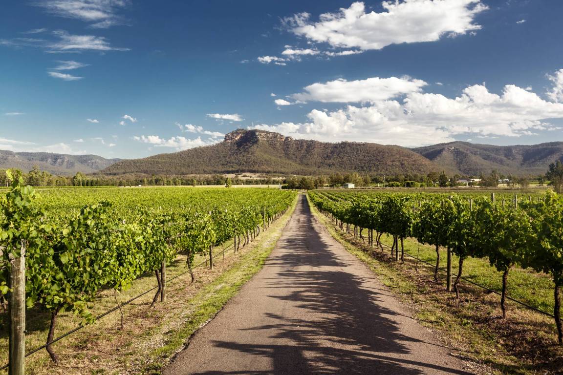 New South Wales Wine Region, Australia