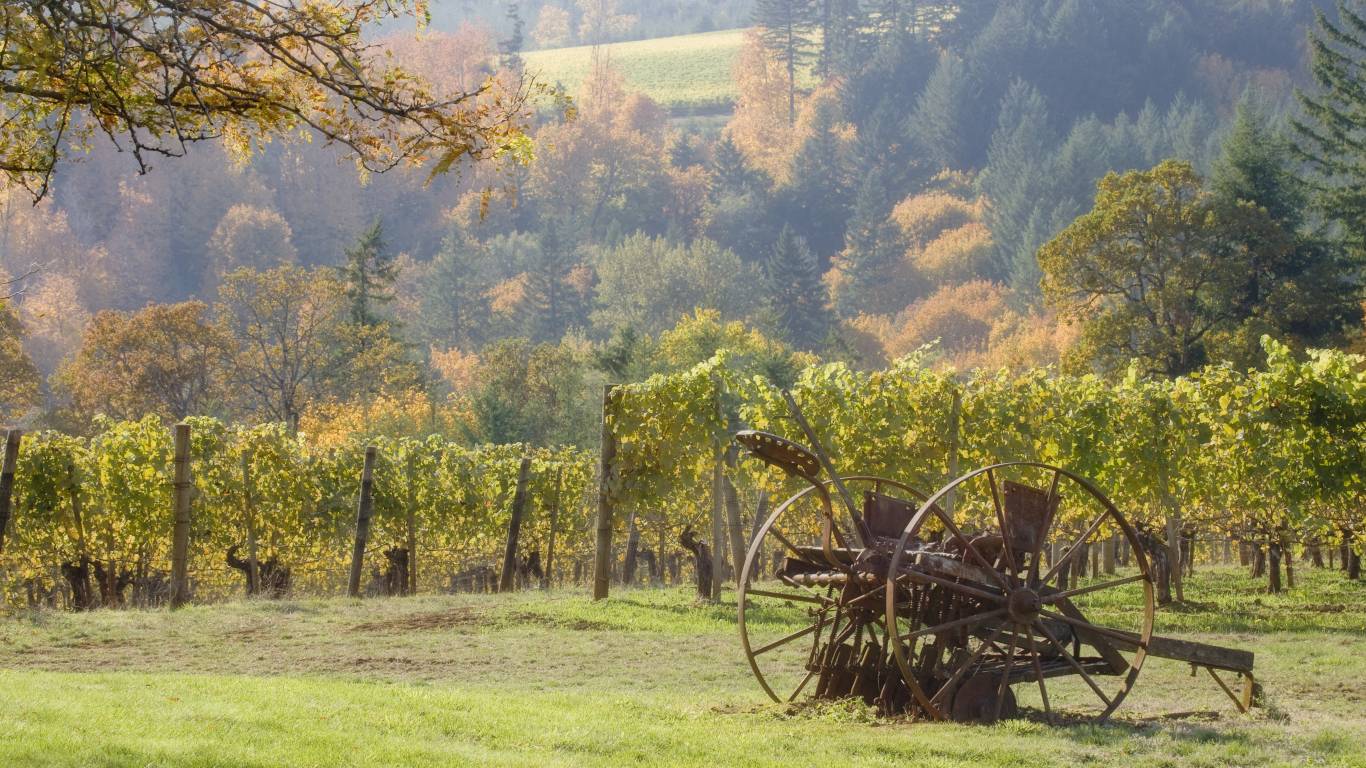 Oregon Wine Region 2, USA