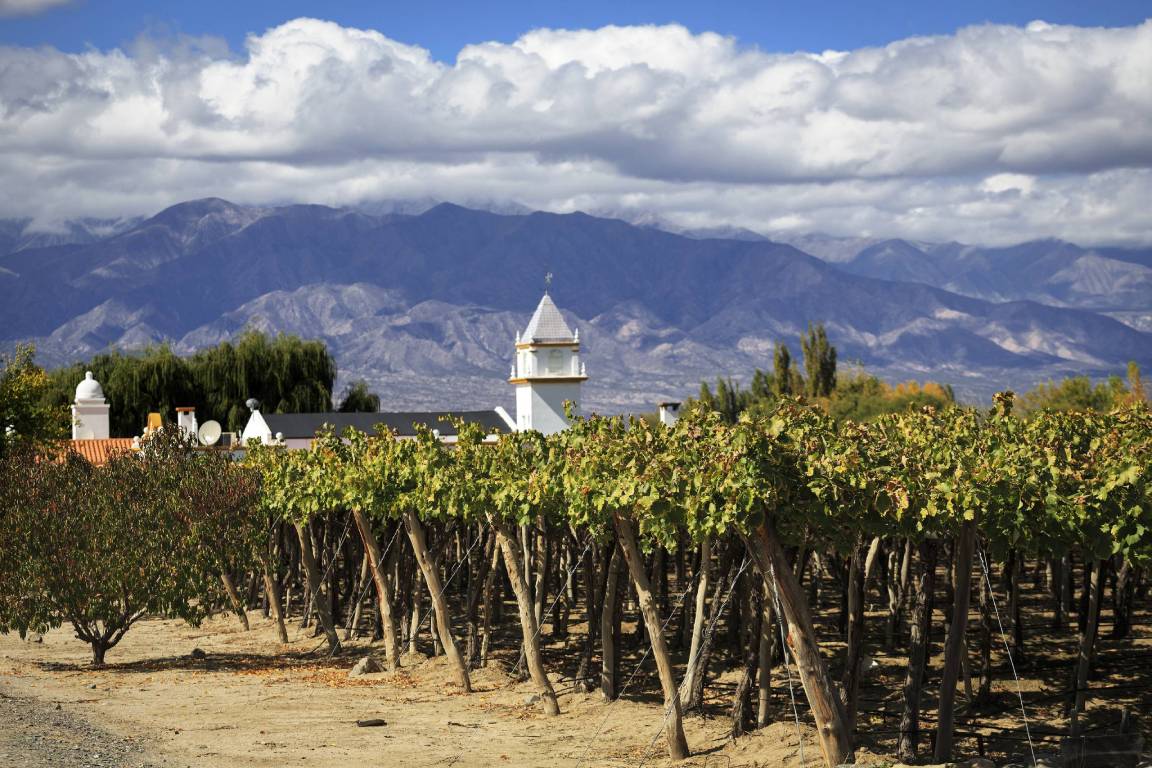 Salta Wine Region, Argentina