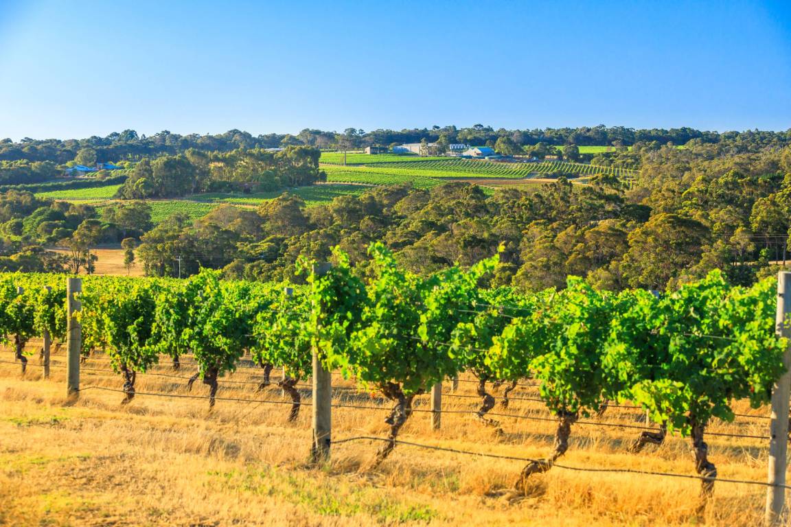 Western Australia Wine Region, Australia