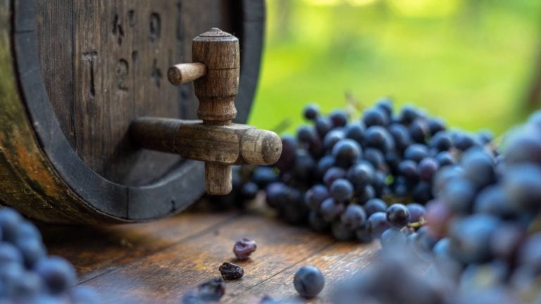 Red wine grapes surrounding an oak barrel to represent vegan wine