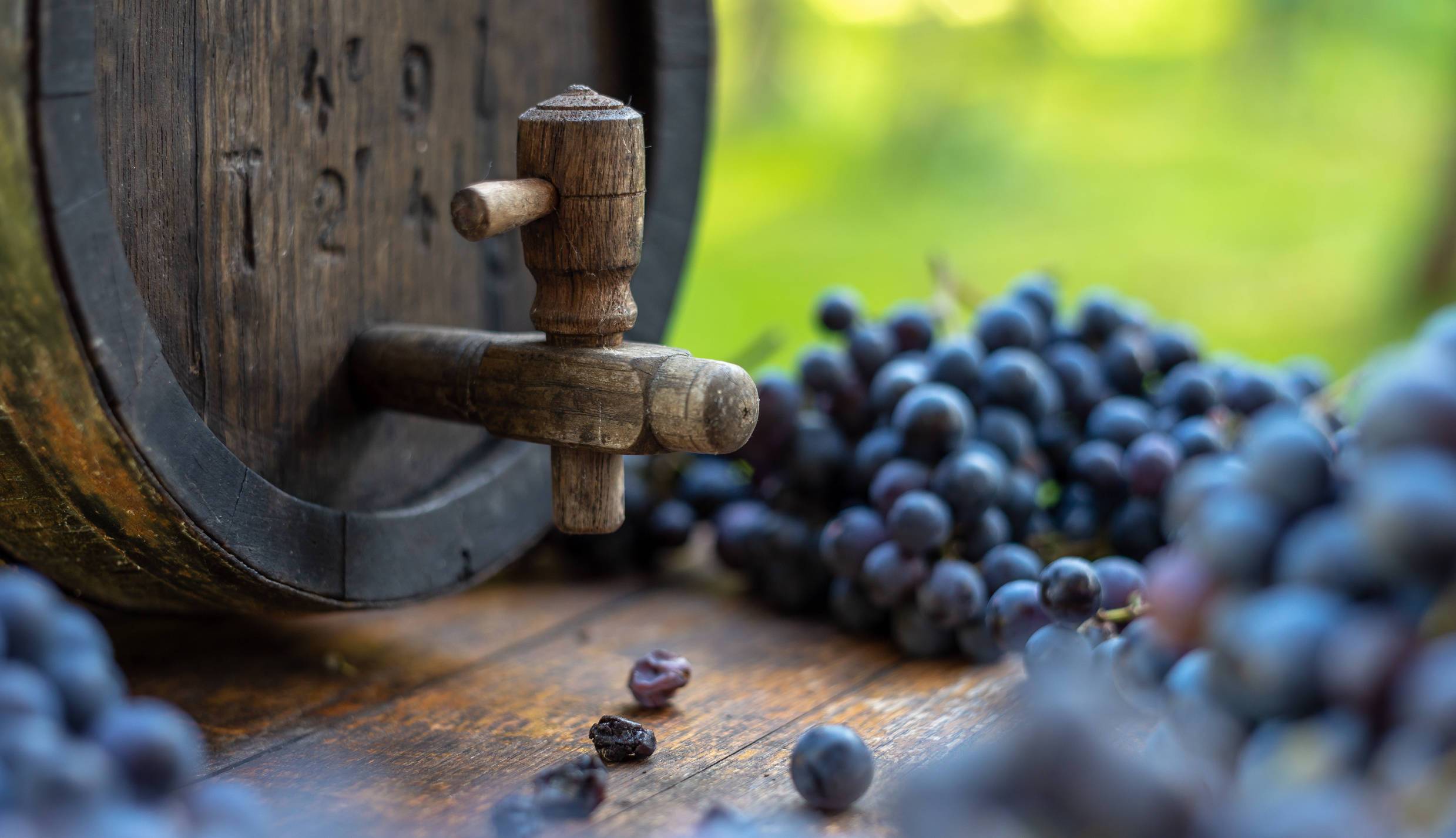 Red wine grapes surrounding an oak barrel to represent vegan wine
