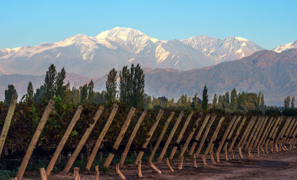 Aconcacgua-Wine-Region-Chile