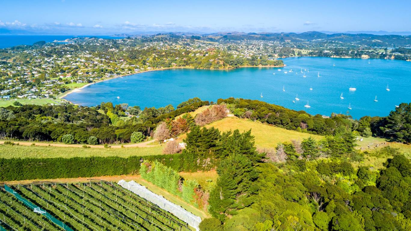 Auckland-Wine-Region-New-Zealand