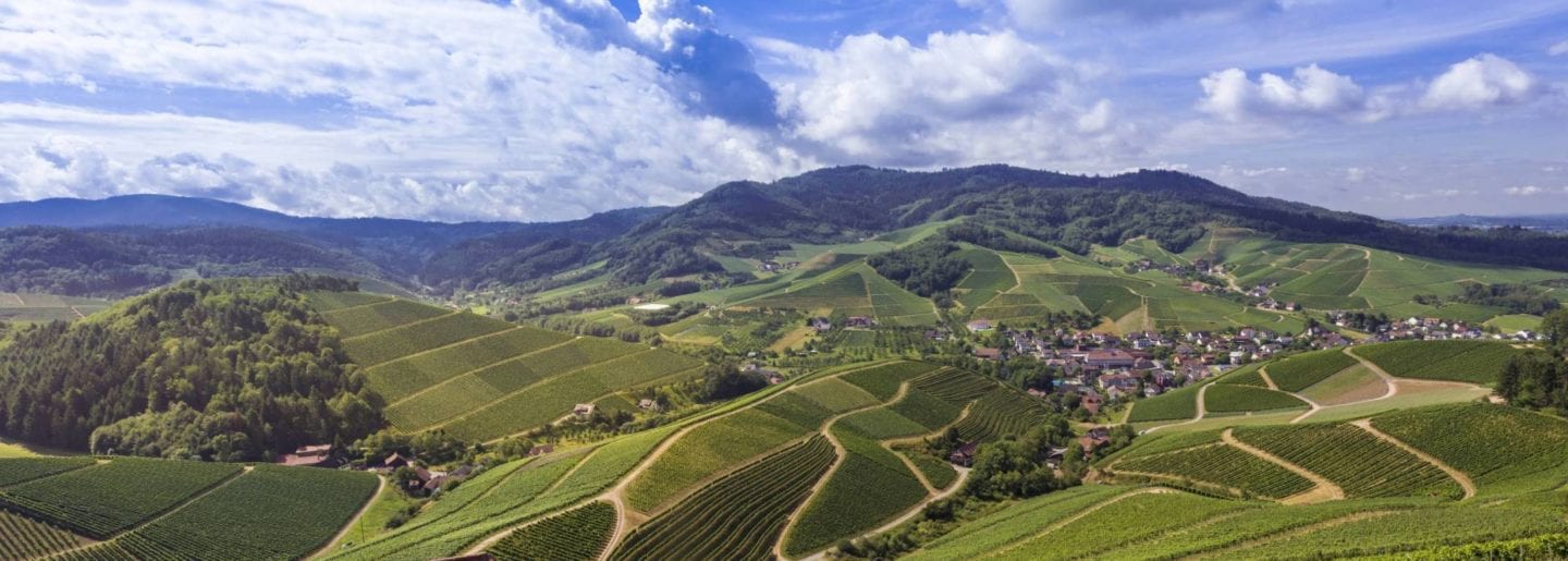 Baden-Wine-Region-Germany