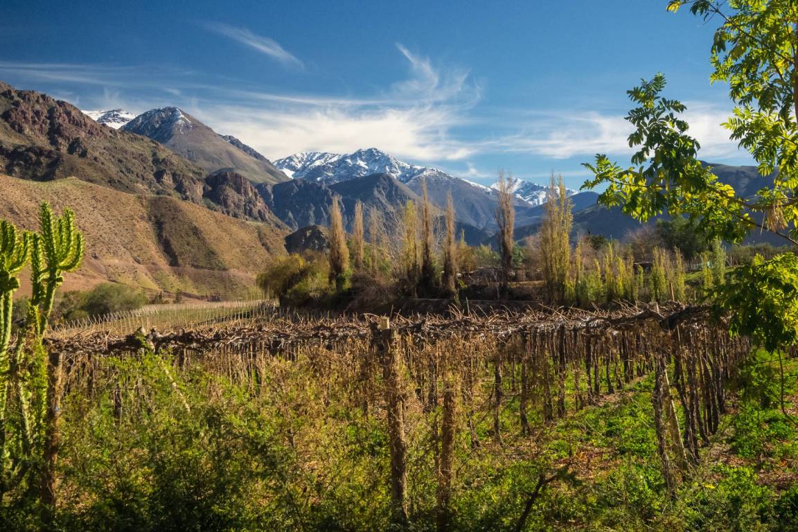 Coquimbo-Wine-Region-Chile