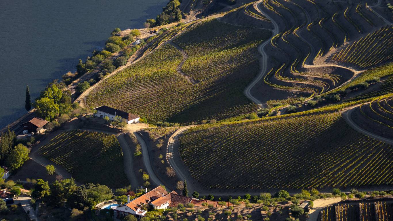 Wine region in Portugal
