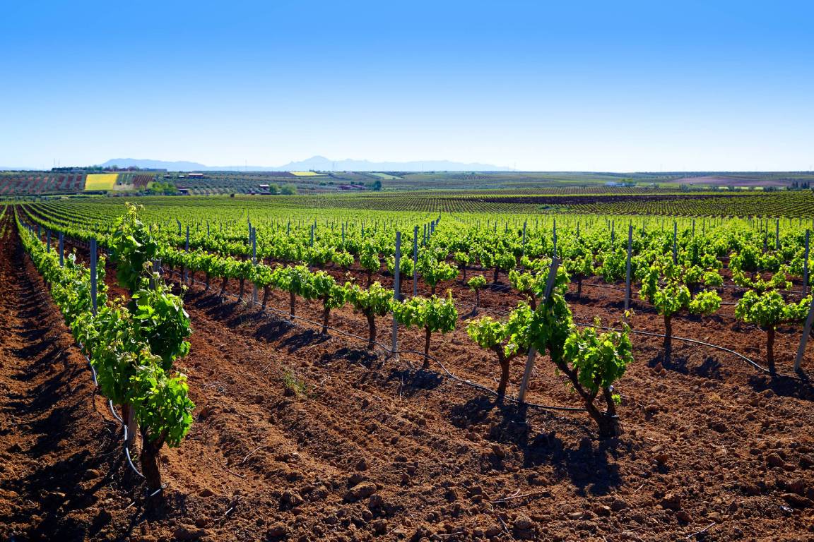 Extremedura Wine Region, Spain