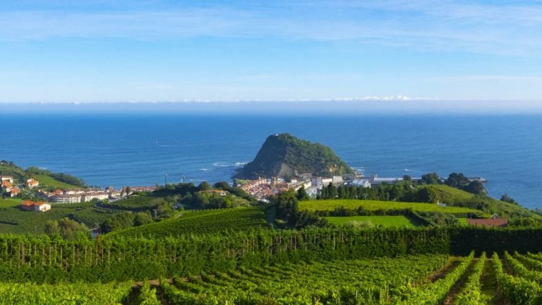Vineyards and wine production with the Cantabrian sea in the background, Getaria Spain