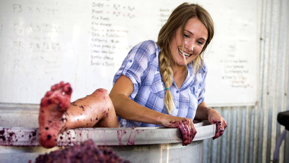 Jess Hardy of Loom Wine climbing out of a vat of crushed grapes