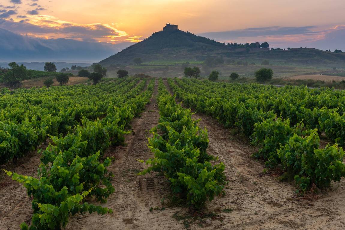 La Rioja Wine Region, Spain