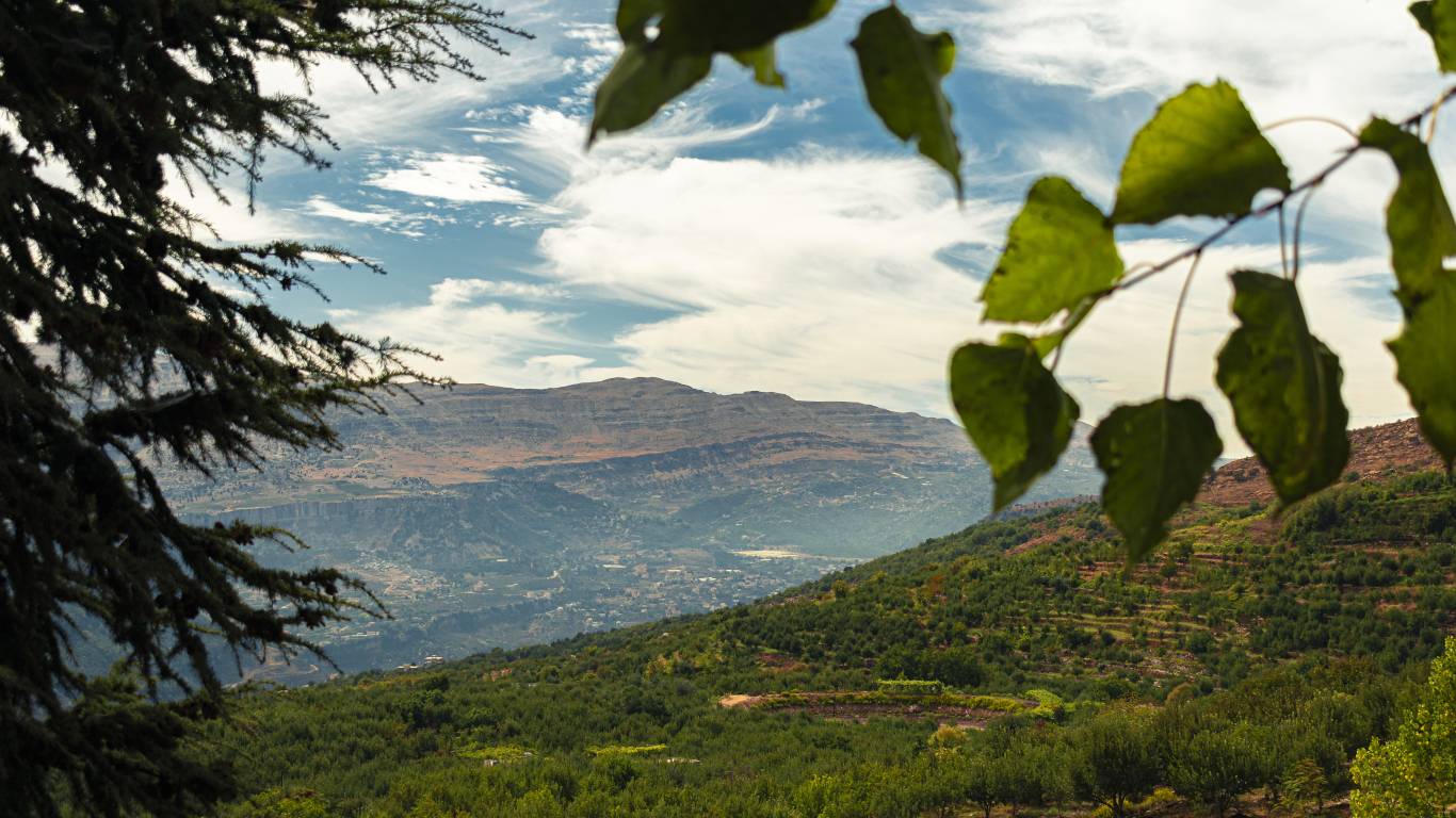 Mount-Lebanon-Wine-Region-Lebanon
