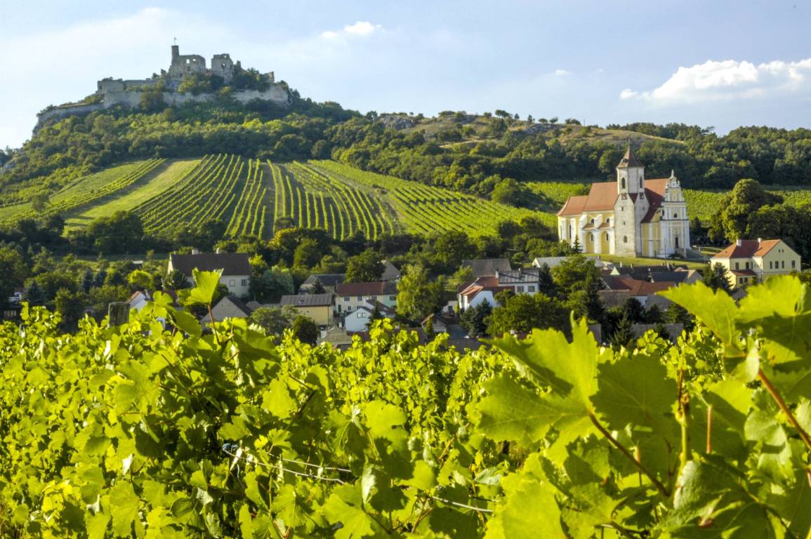 Niederösterreich-Wine-Region-Austria