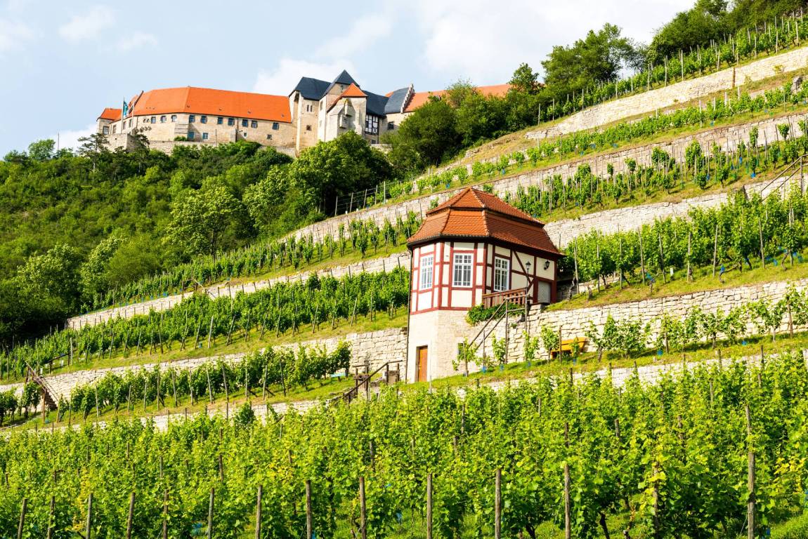 Saale-Unstrut-Wine-Region-Germany