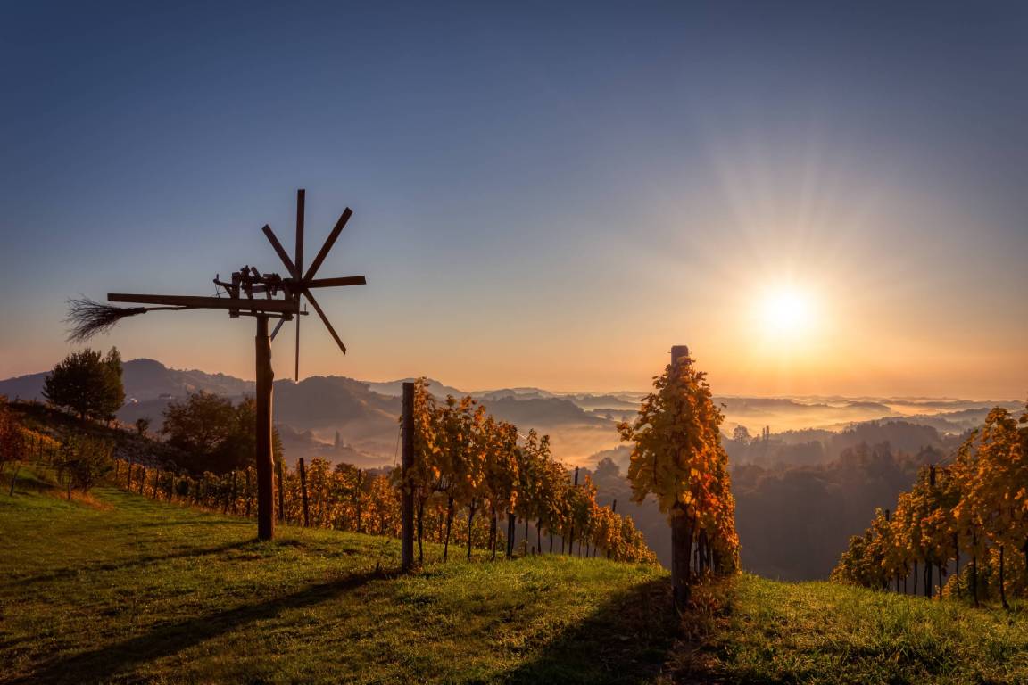 Steiermark-Wine-Region-Austria