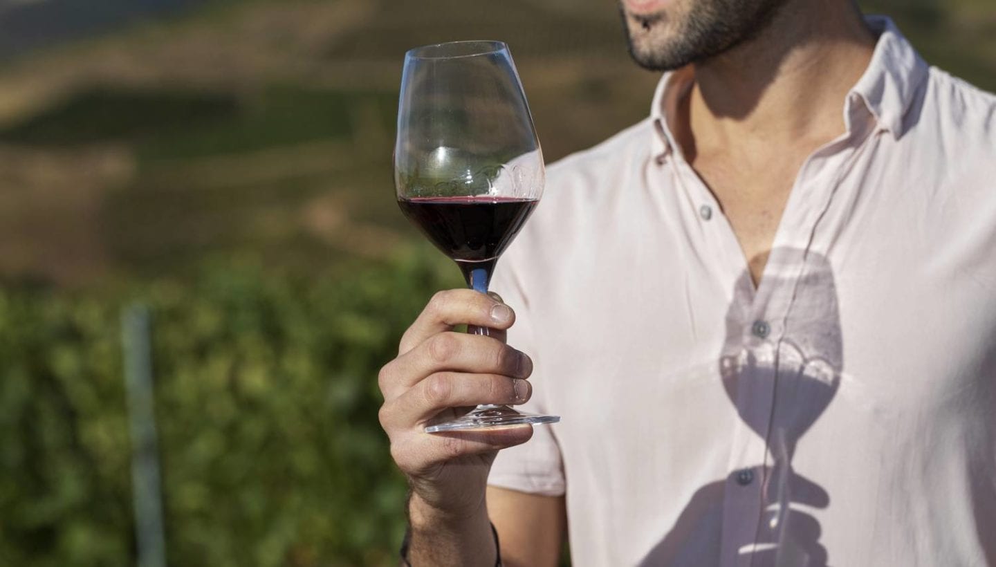 Man holding a glass of Beaujolais in a vineyard in the sunshine