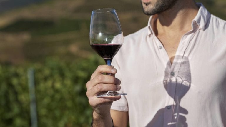 Man holding a glass of Beaujolais in a vineyard in the sunshine