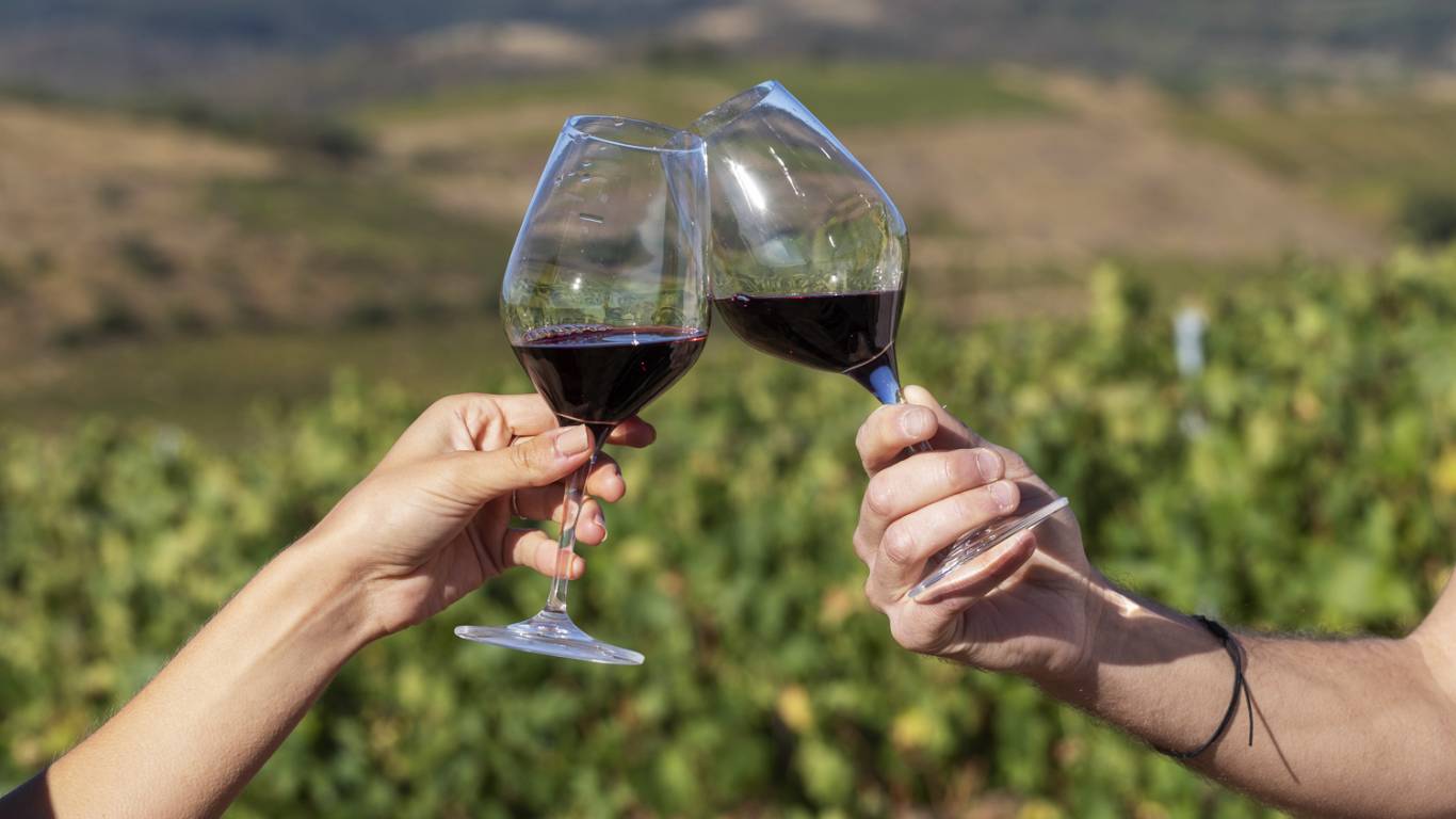 Two people toasting with glasses of Beaujolais in a sunny vineyard