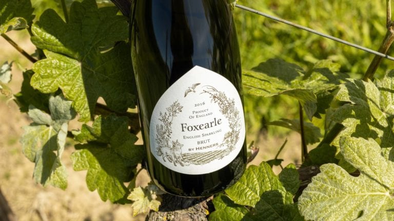 Bottle of Henners Foxearle English Sparkling Brut 2016 sitting on a vine in the sunshine