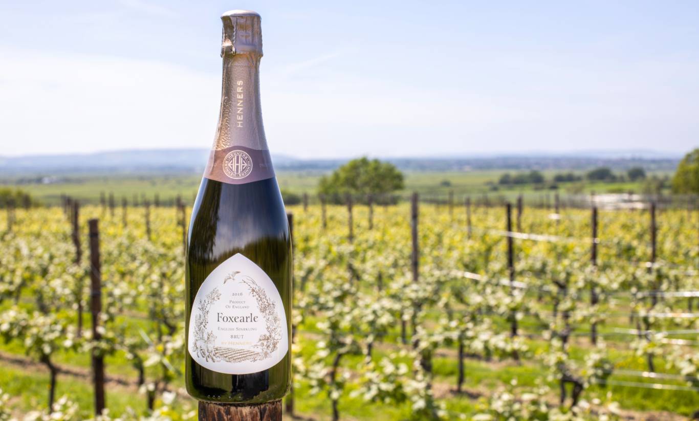 Henners Foxearle English Sparkling Brut 2016 photographed in Henners vineyard on a sunny day in East Sussex, England