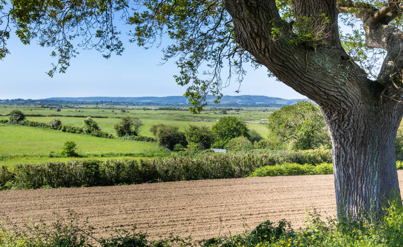 Views of the English countryside at Henners vineyard in East Sussex