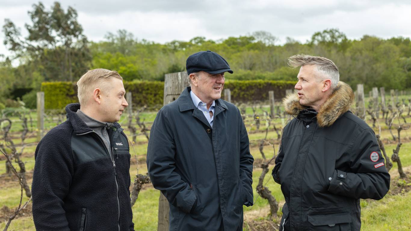 Steve Gillham, Winemaker at New Hall Vineyard, talking to Phil Tufnell and Andrew Baker, Buying Director at Virgin Wines, in the vineyard