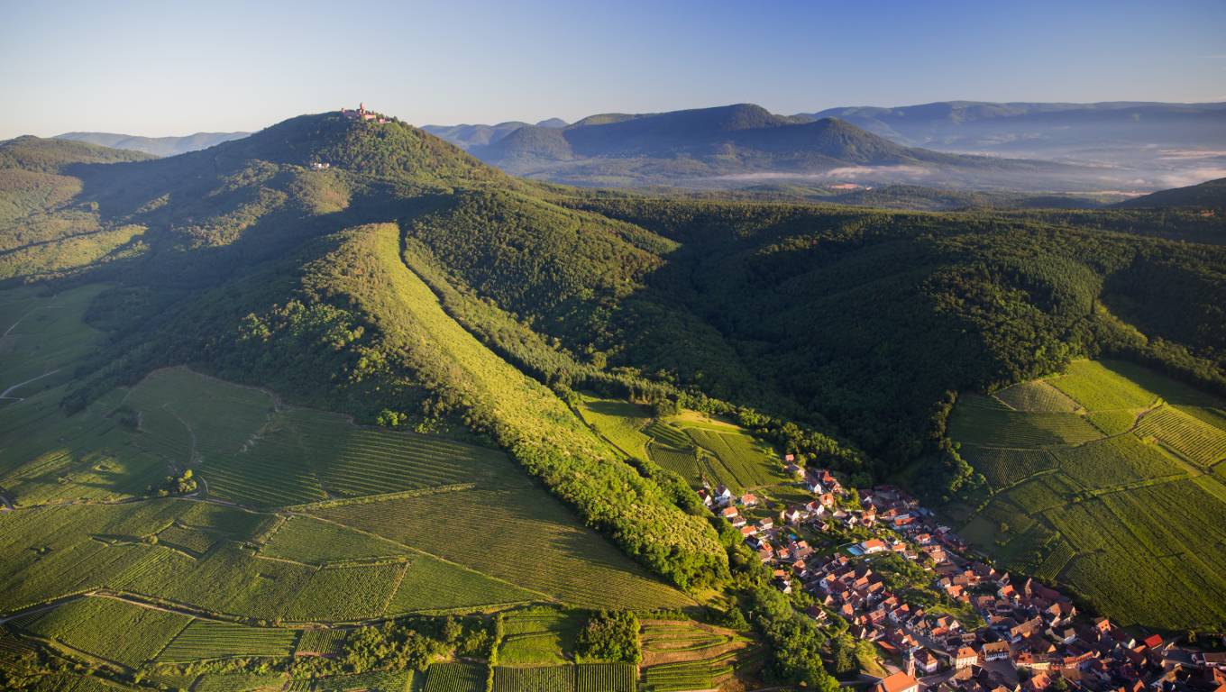 Rolling hills in Alsace