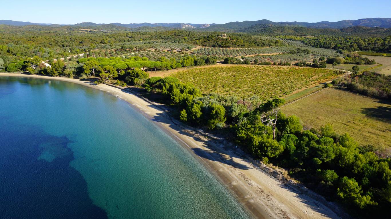 Drone view of Leoube vineyard in Provence