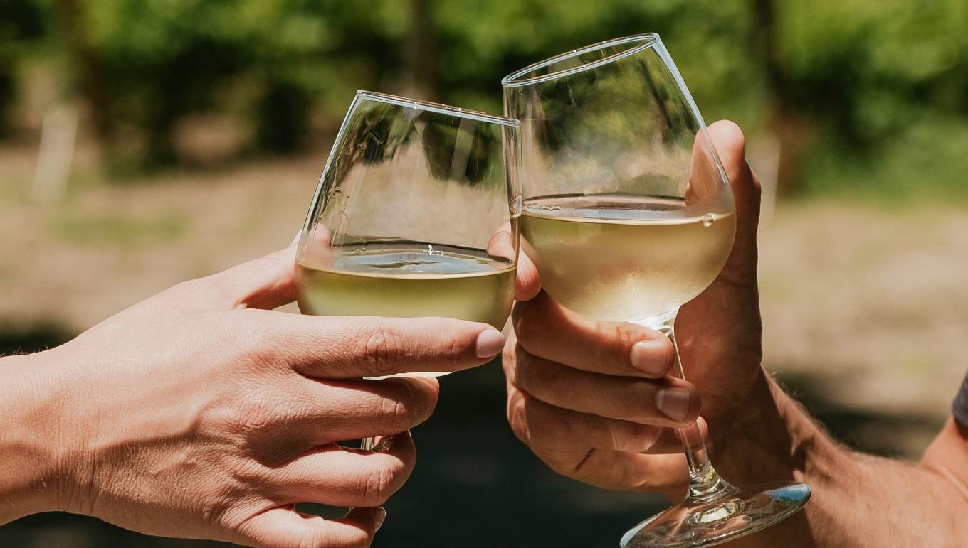 Two people toasting with glasses of white wine in a vineyard in California