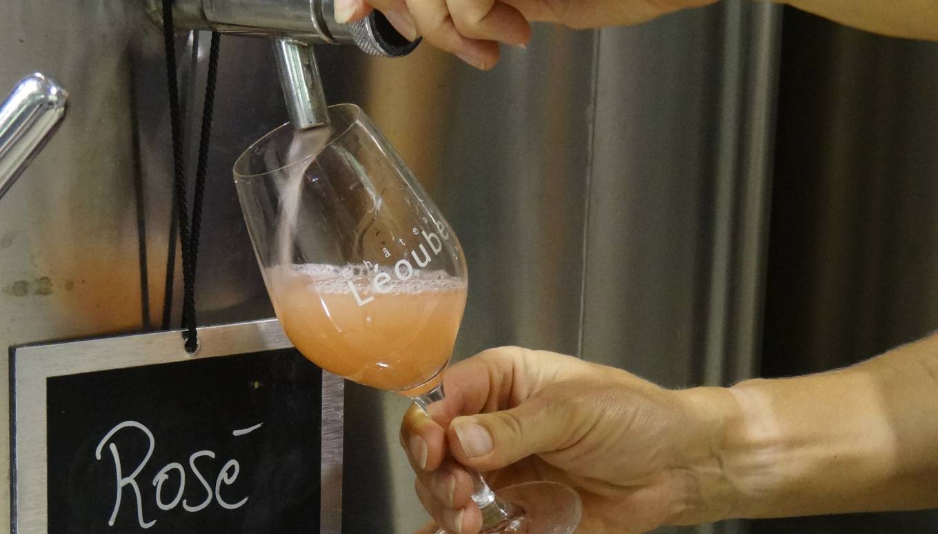 Woman pouring rose wine straight from the fermentation tank in Chateau Leoube winery in Provence